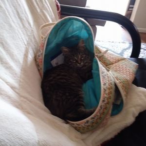 Meet your Posher, Karon